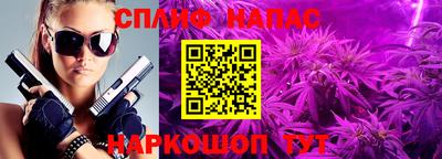 apvp Обнинск