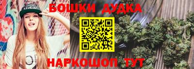 apvp Обнинск