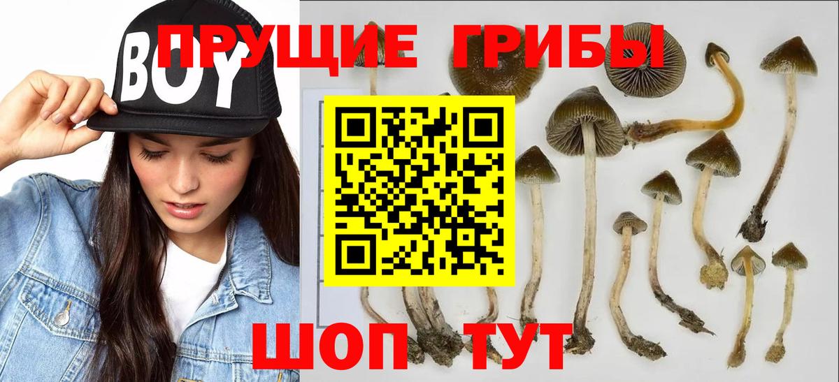 Партизанск  Галлюциногенные грибы мицелий  купить наркоту  Вход с VPN  Галлюциногенные грибы Magic Shrooms 